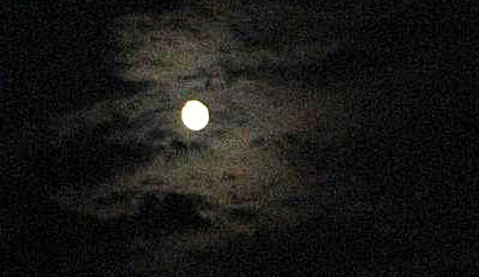 Last summer moon 2009